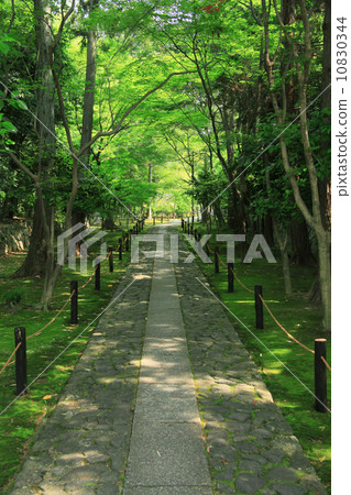 Kamoin方法 10830344