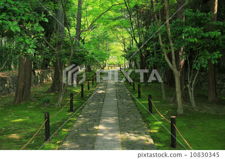 Kamoin方法 10830345