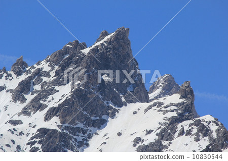 大提頓國家公園 10830544