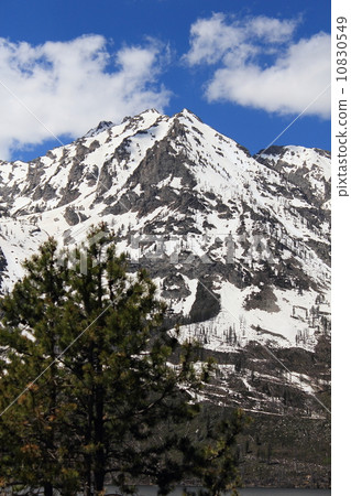 大提頓國家公園 10830549