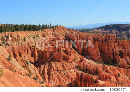 Spring Bryce Canyon National Park Spring Bryce Canyon National Park 10830571
