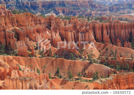 Spring Bryce Canyon National Park 10830572