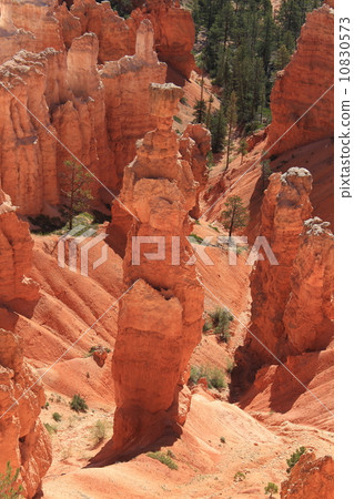 Spring Bryce Canyon National Park Spring Bryce Canyon National Park 10830573