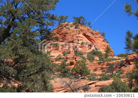 春錫安國家公園 10830611