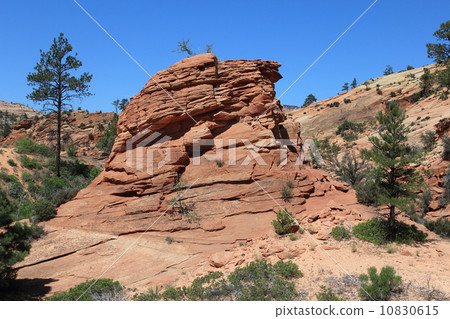 春錫安國家公園 10830615