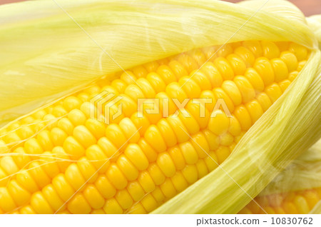 Caution) Steam (yuka) is retouch synthesis. Please note on your purchase. Large grain of domestic Hamamatsu produced corn in the morning. Caution) Steam (yuka) is retouch synthesis. Please note on your purchase. Large grain of domestic Hamamatsu produced corn in the morning. 10830762