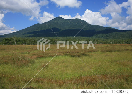 Ozegahara Ozegahara 10830892