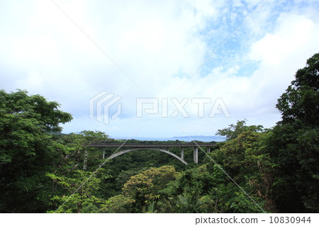 Natural landscape Perspective from Banna Park. There is a bridge in the subtropical forest, and the Sakieda peninsula can be seen beyond that Natural landscape Perspective from Banna Park. There is a bridge in the subtropical forest, and the Sakieda peninsula can be seen beyond that 10830944