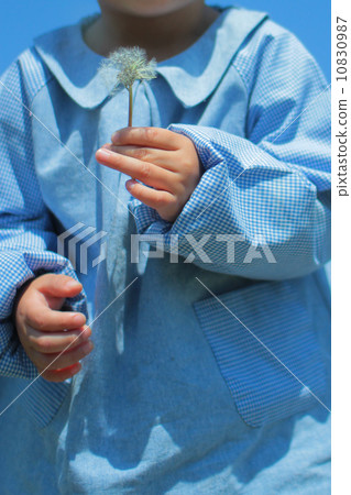 Children's Child Infant Infant Smog Dandelion 10830987