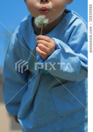 Children's Child Infant Infant Smog Dandelion 10830988