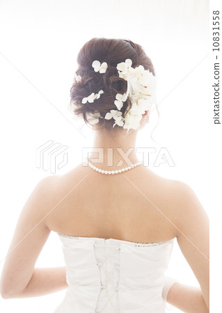 Bridal bride Bridal bride 10831558