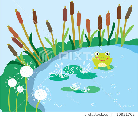 Lake cartoon with lily and frog 10831705
