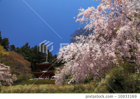 Spring of Katsuoji Spring of Katsuoji 10833169