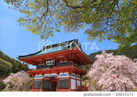 Spring of Katsuoji Spring of Katsuoji 10833172