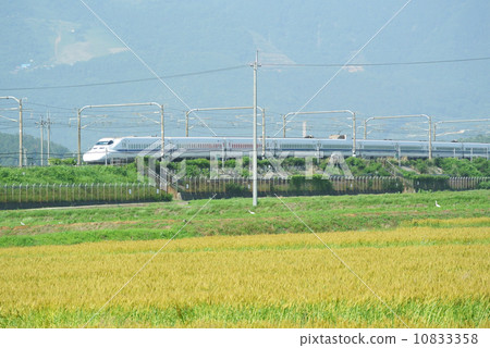 700 lines going in the wheat field 10833358