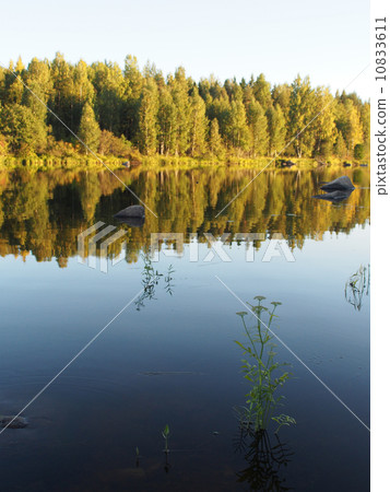 Lake in the summer 10833611