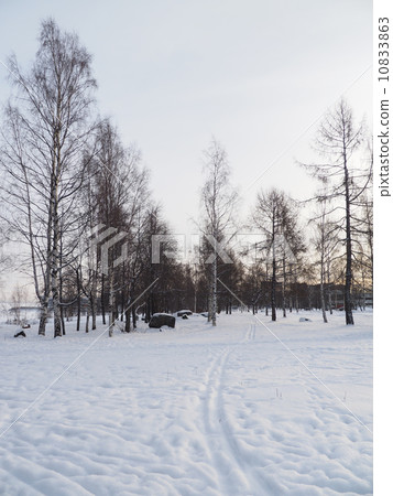 snowy landscape 10833863
