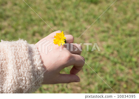Flower ring 10834395