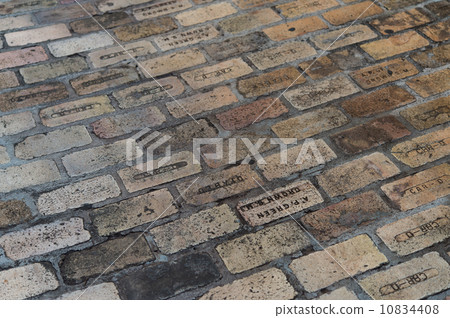 Hawaiian cobblestones 10834408