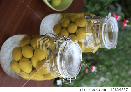 Making plum wine 10834887