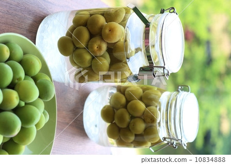 Making plum wine 10834888