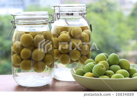 Making plum wine Making plum wine 10834889