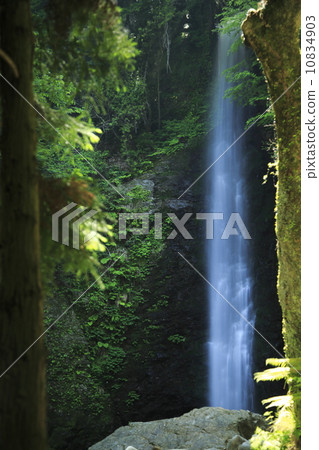 Yoro no Waterfall 10834903