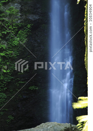 Yoro no Waterfall 10834904