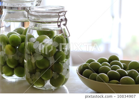 Making plum wine 10834907