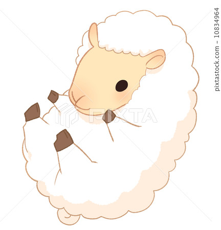 Fluffy sheep 10834964