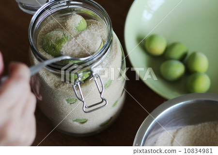製作梅子糖漿 10834981