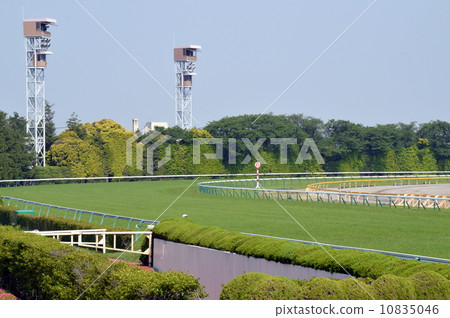 Tokyo Racecourse 3 Tokyo Racecourse 3 10835046