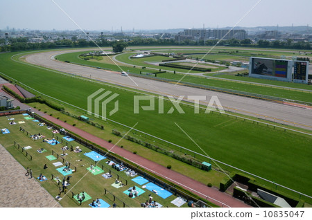 東京賽馬場4 東京賽馬場4 10835047