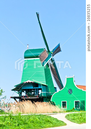 Dutch Windmill 10835255