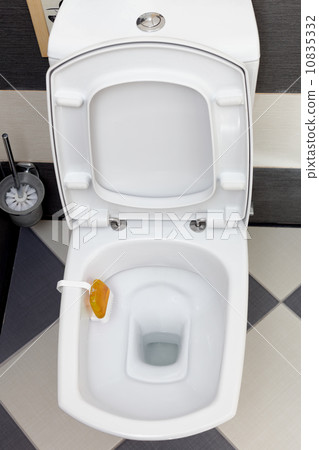 Interior of a typical water-closet. 10835332