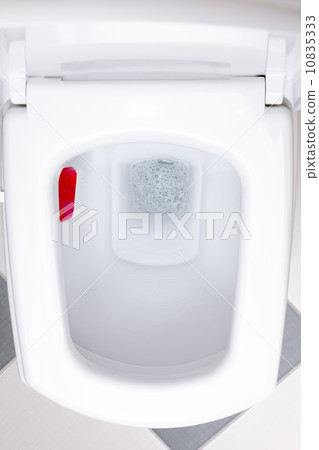 Interior of a typical water-closet. Interior of a typical water-closet. 10835333
