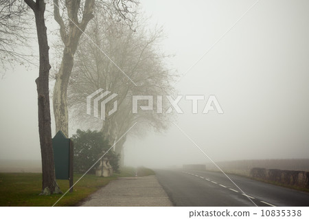A country road on a foggy day at France 10835338