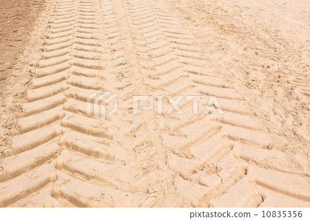 Tire Tracks in the Sand 10835356