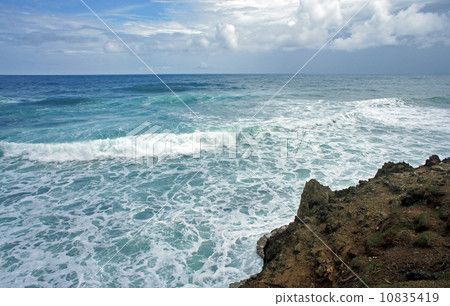 impressions from costa rica 10835419