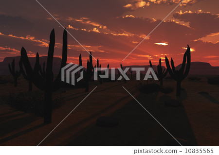 Desert Saguaro Cactus Field 3D artwork Desert Saguaro Cactus Field 3D artwork 10835565