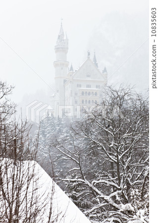 Neuschwanstein Castle 10835603