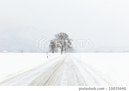 Winter scene in Alps 10835640