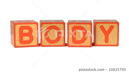 Body on Colored Wooden Childrens Alphabet Block. 10835795