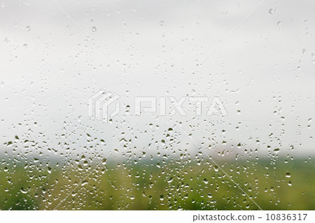 rain drops on window pane 10836317