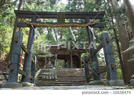 京都愛宕神社鳥居 10836474