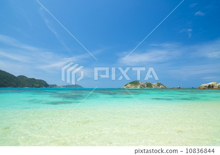 Tropical beach 10836844