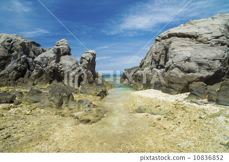 Tropical beach Tropical beach 10836852