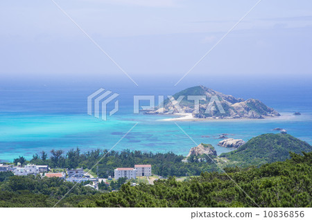 Tropical beach 10836856