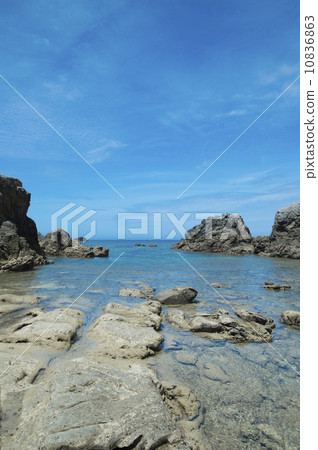 Tropical beach 10836863