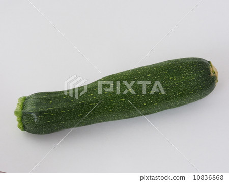 zucchini  10836868